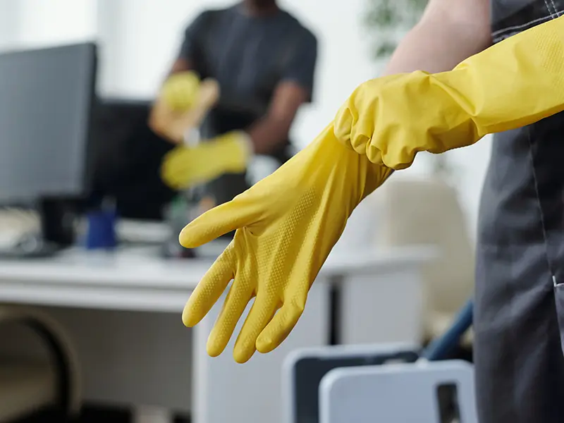 Generalno ciscenje Green Clean Novi sad