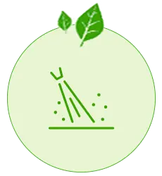 Green Clean Ikonica 1