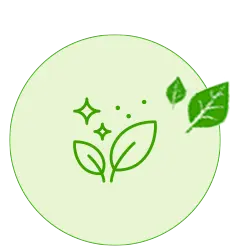 Green Clean Ikonica 3
